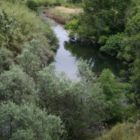 Secret river, Algarve
Secret river, Algarve